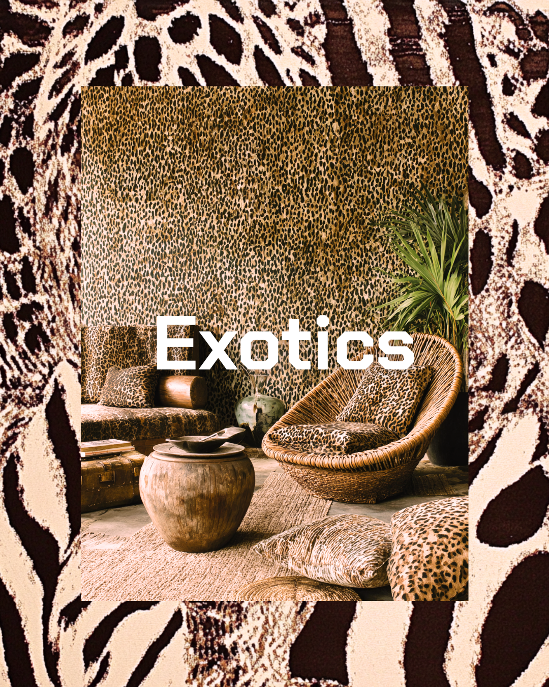 Animal Prints