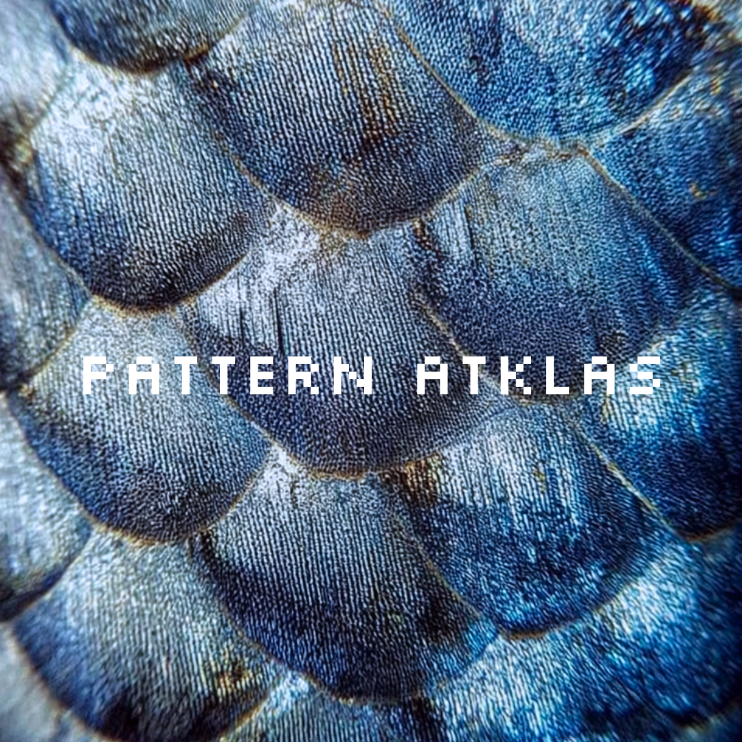 Patris